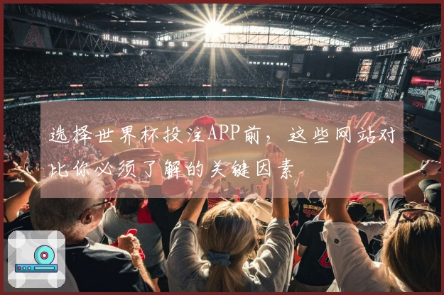 选择世界杯投注APP前，这些网站对比你必须了解的关键因素