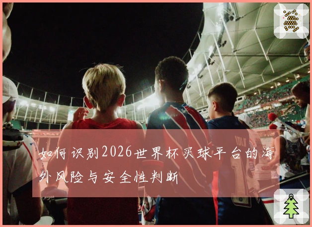如何识别2026世界杯买球平台的海外风险与安全性判断