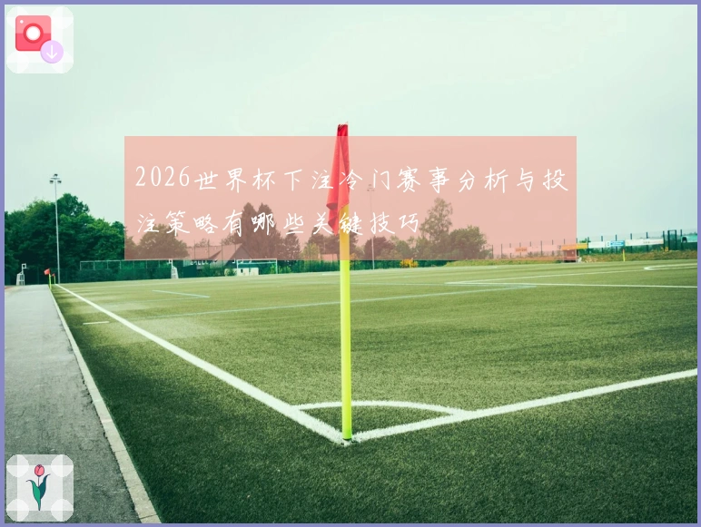 2026世界杯下注冷门赛事分析与投注策略有哪些关键技巧