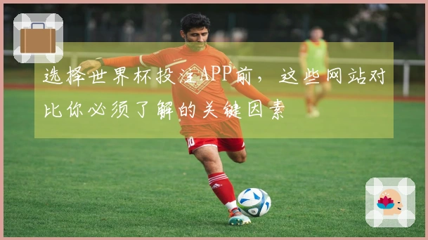 选择世界杯投注APP前，这些网站对比你必须了解的关键因素