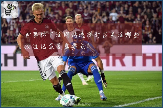 世界杯下注网站选择时应关注哪些投注记录复盘要点？